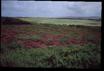 Connemara01a