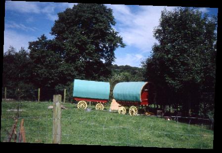 IrishTravellers